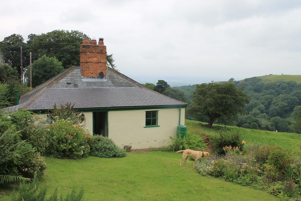 Glyn Arthur Lodge Llandyrnog Exterior photo